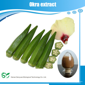 100% natürlicher Okra-Extrakt 10: 1,20: 1 mit heißem Verkauf. kostenlose Probe